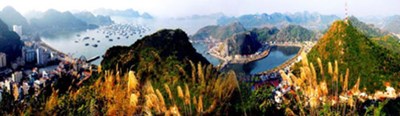 Đặc điểm địa hình
