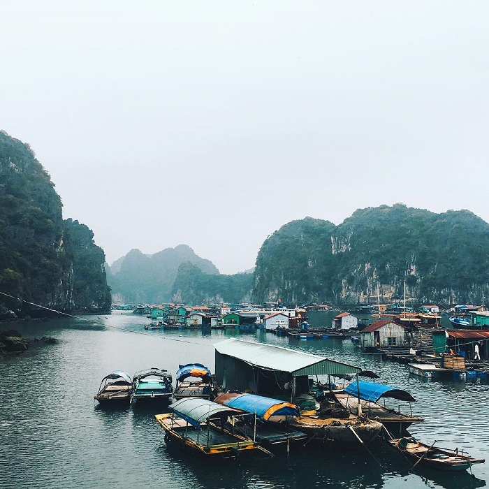 Làng chài Cái Bèo - làng chài cổ ở Cát Bà