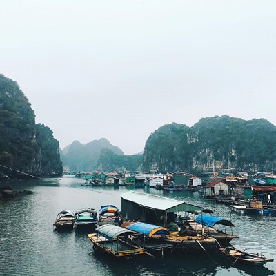 Làng chài Cái Bèo - làng chài cổ ở Cát Bà