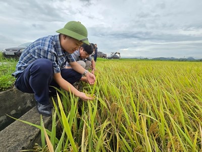 Tình hình sản xuất nông, lâm nghiệp, thủy sản tháng 2/2025