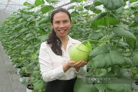 Tình hình sản xuất nông, lâm nghiệp, thủy sản năm 2024
