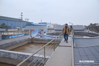 Đến năm 2030, tối thiểu 50% khu công nghiệp tại Hải Phòng chuyển đổi theo mô hình sinh thái