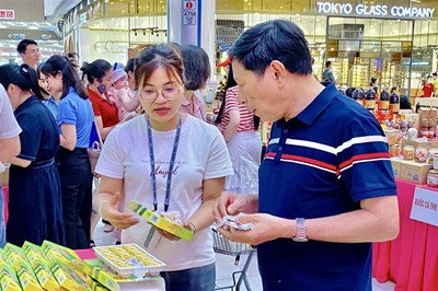 Triển khai tháng khuyến mại Hải Phòng năm 2026, dự kiến thu hút từ 700 đến 1.000 doanh nghiệp tham gia