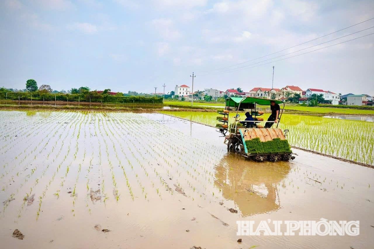 Tình hình sản xuất nông nghiệp, lâm nghiệp, thủy sản tháng 2 và 2 tháng đầu năm 2026