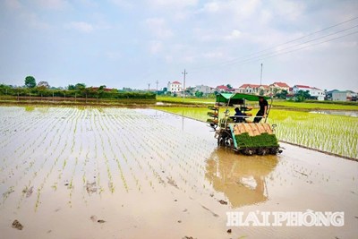 Tình hình sản xuất nông nghiệp, lâm nghiệp, thủy sản tháng 2 và 2 tháng đầu năm 2026