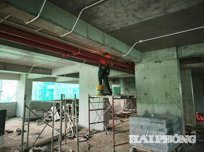 Có nhà ở xa vẫn được hưởng chính sách nhà ở xã hội tại Hải Phòng