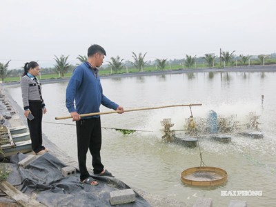 Tình hình sản xuất nông nghiệp, lâm nghiệp, thủy sản 9 tháng năm 2026