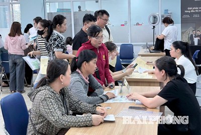 Tình hình lao động, việc làm tháng 7 và 7 tháng năm 2026