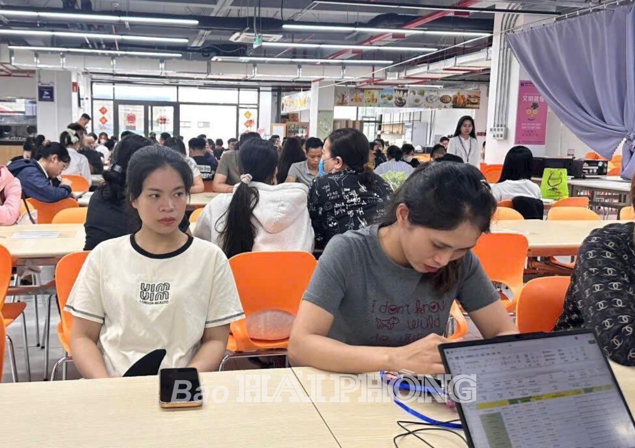 Tình hình dân số, lao động, việc làm tháng 5/2025