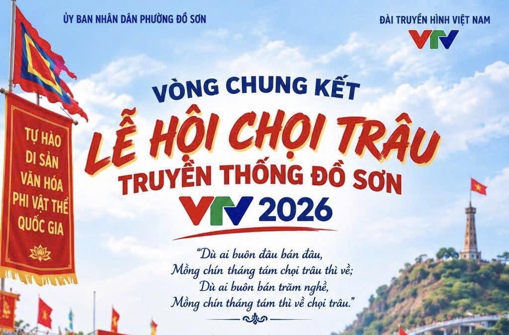 Sáng nay 19/9 (9/8 âm lịch) diễn ra chung kết Lễ hội chọi trâu truyền thống Đồ Sơn -VTV 2026