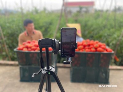 Các hợp tác xã phát triển thị trường từ nền tảng số