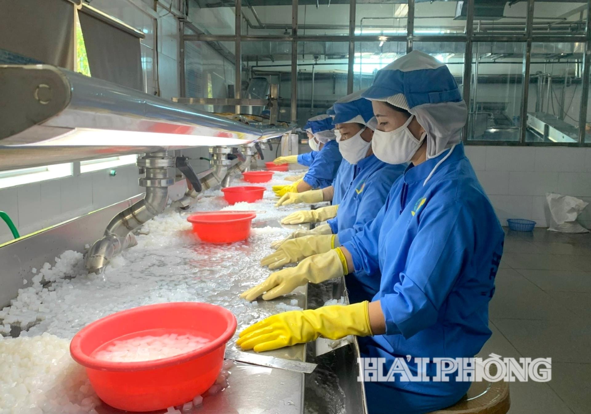 Kim ngạch xuất khẩu của Hải Phòng tăng 26,2%